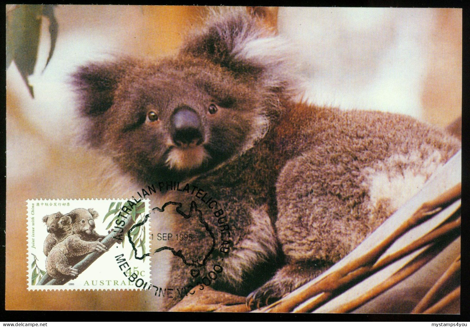 Mk Australia Maximum Card 1995 MiNr 1497 | Australia-China Joint Issue. Endangered Species. Koalas #max-0034 - Maximumkaarten