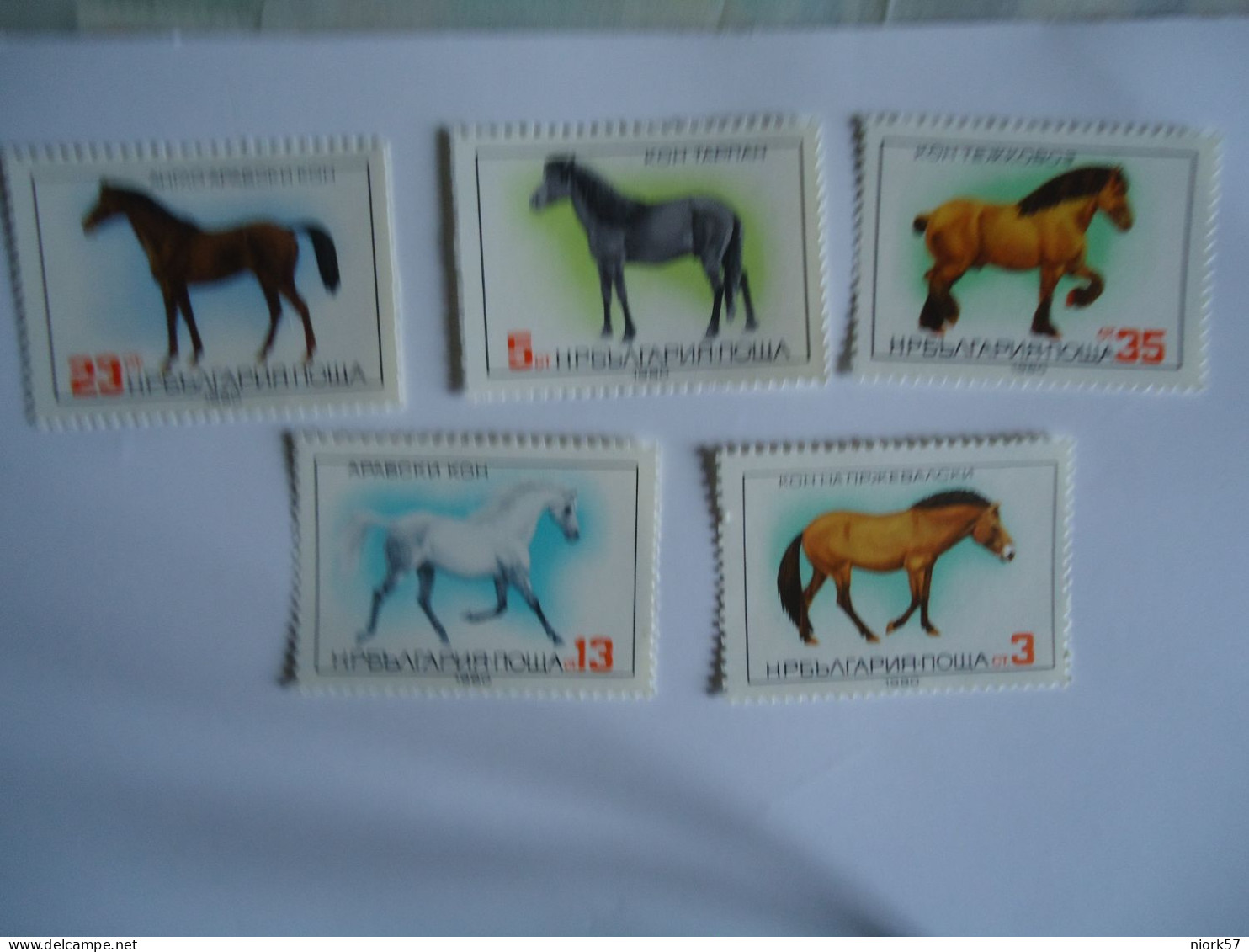 BULGARIA   MNH  STAMPS   SET 5  ANIMALS HORSES  1980 - Horses