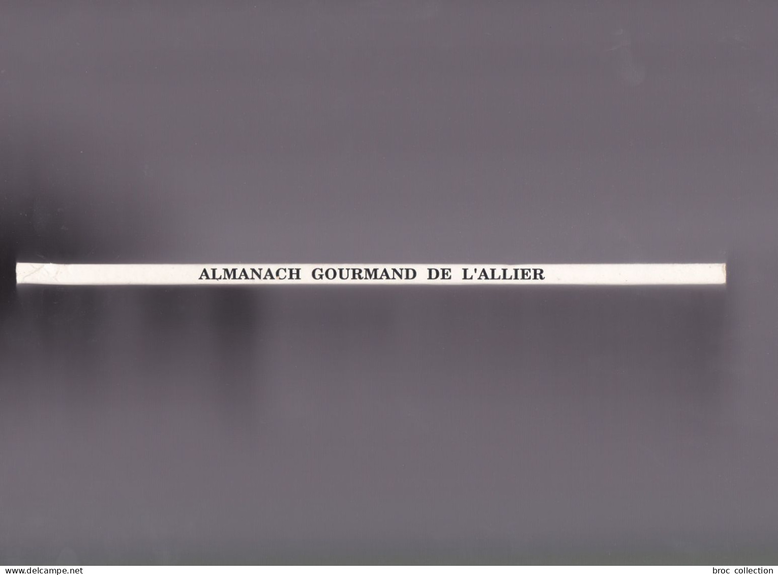 Almanach Gourmand De L'Allier 1990, Patrice Rötig, Didier Arrachart, Alain Daudier - Bourbonnais