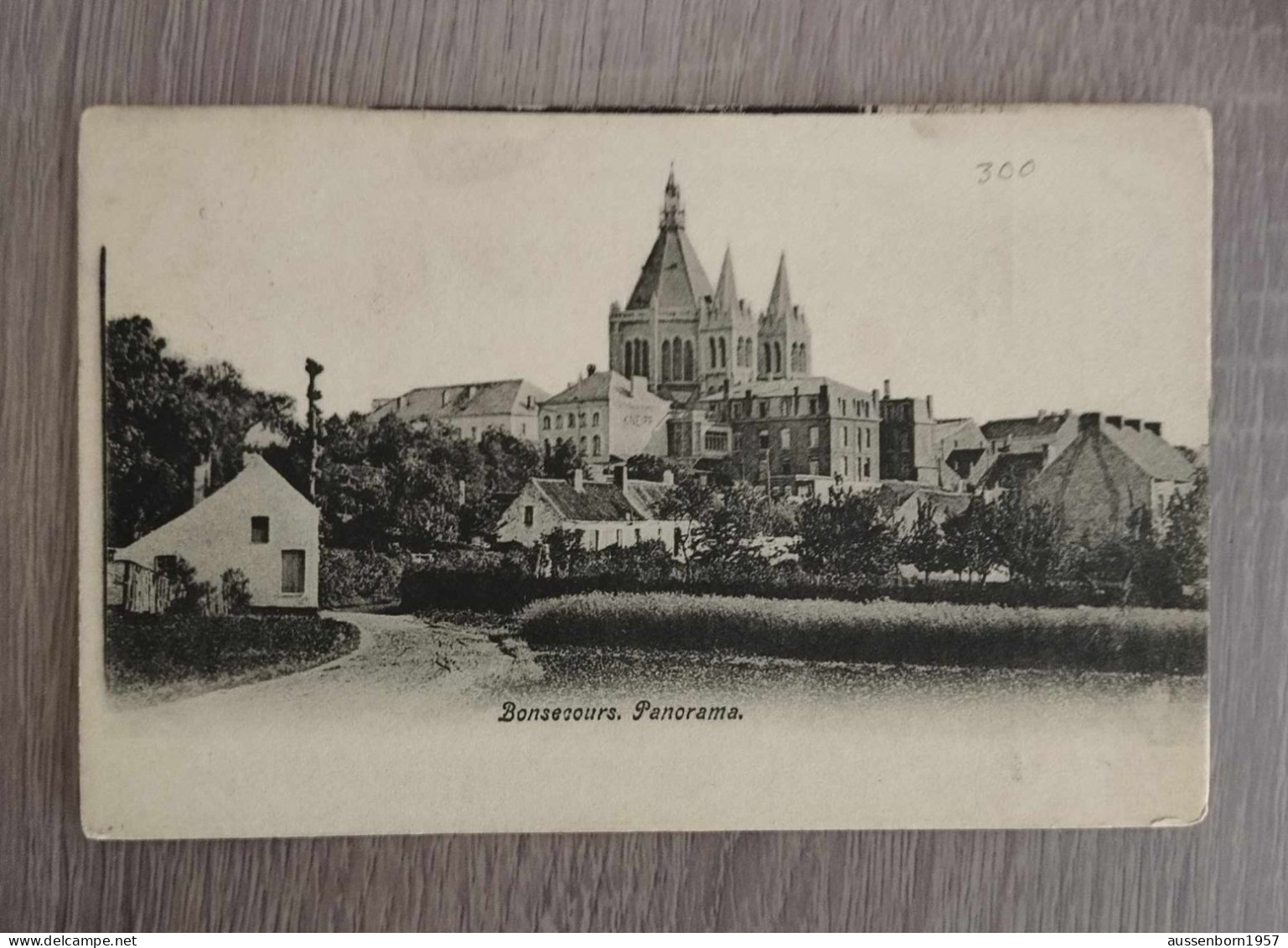 Bonsecours : Panorama : Carte Dos Non Divisé Envoyée En 1904 - Peruwelz