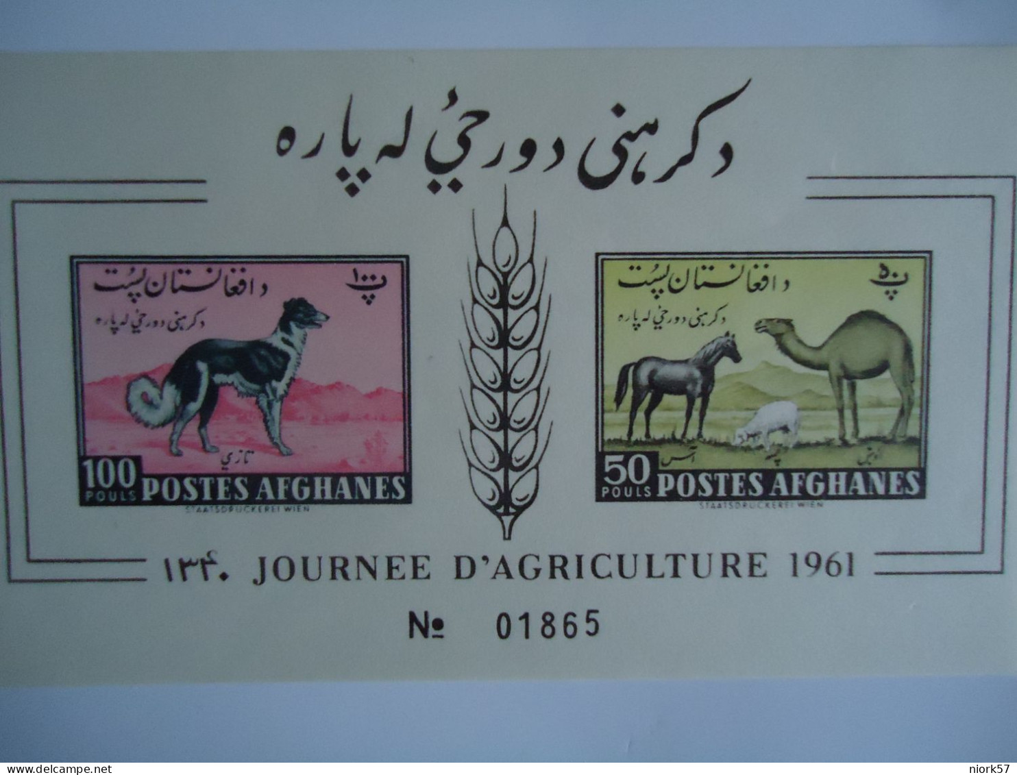 AFGHANISTAN  MNH   IMPERFORATE STAMPS   SHEET ANIMALS 1961  DOGS   CAMEL - Chiens