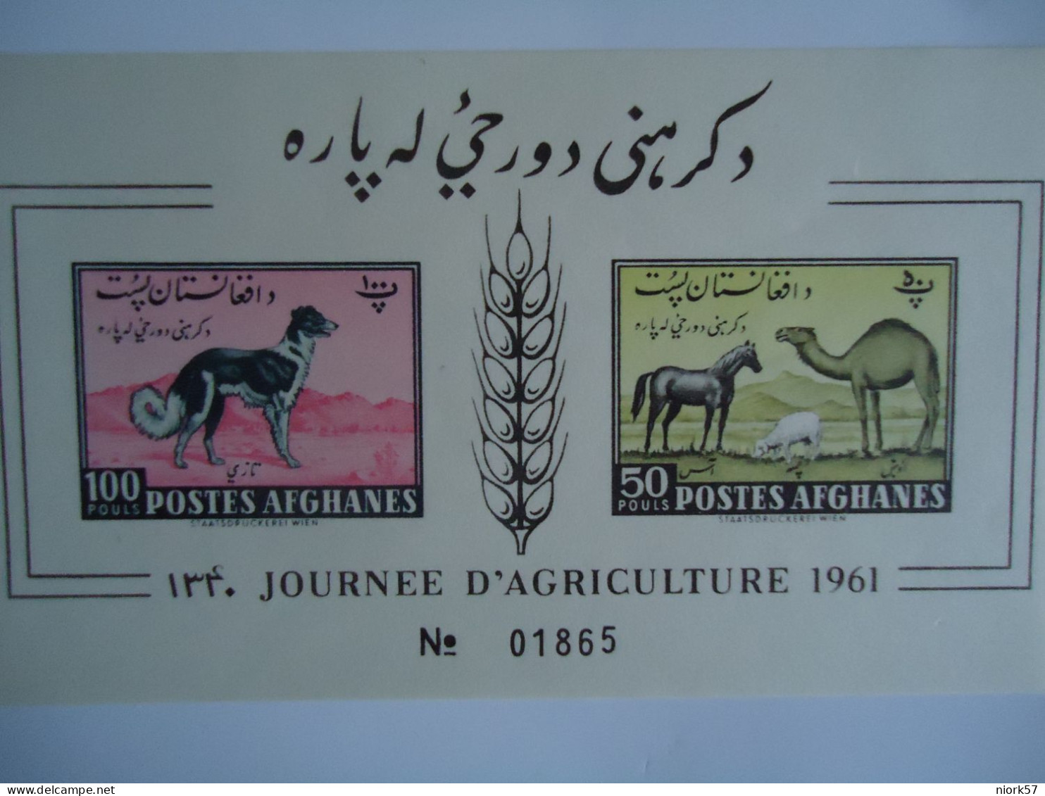 AFGHANISTAN  MNH   IMPERFORATE STAMPS   SHEET ANIMALS 1961  DOGS   CAMEL - Hunde