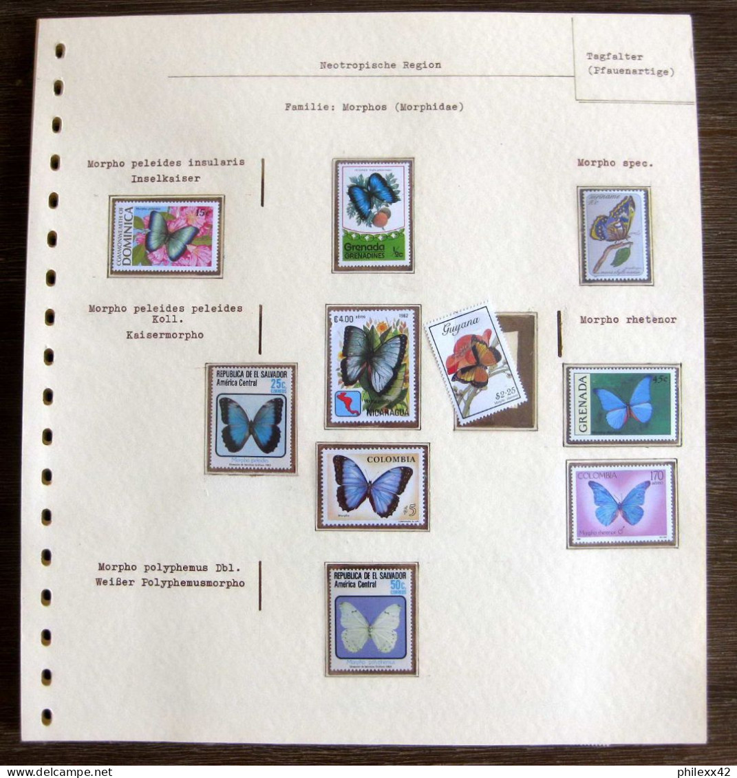 54280 Salvador Colombia Grenada Guyana Papillons Papillon Schmetterlinge Butterfly Butterflies Neufs ** MNH - Papillons