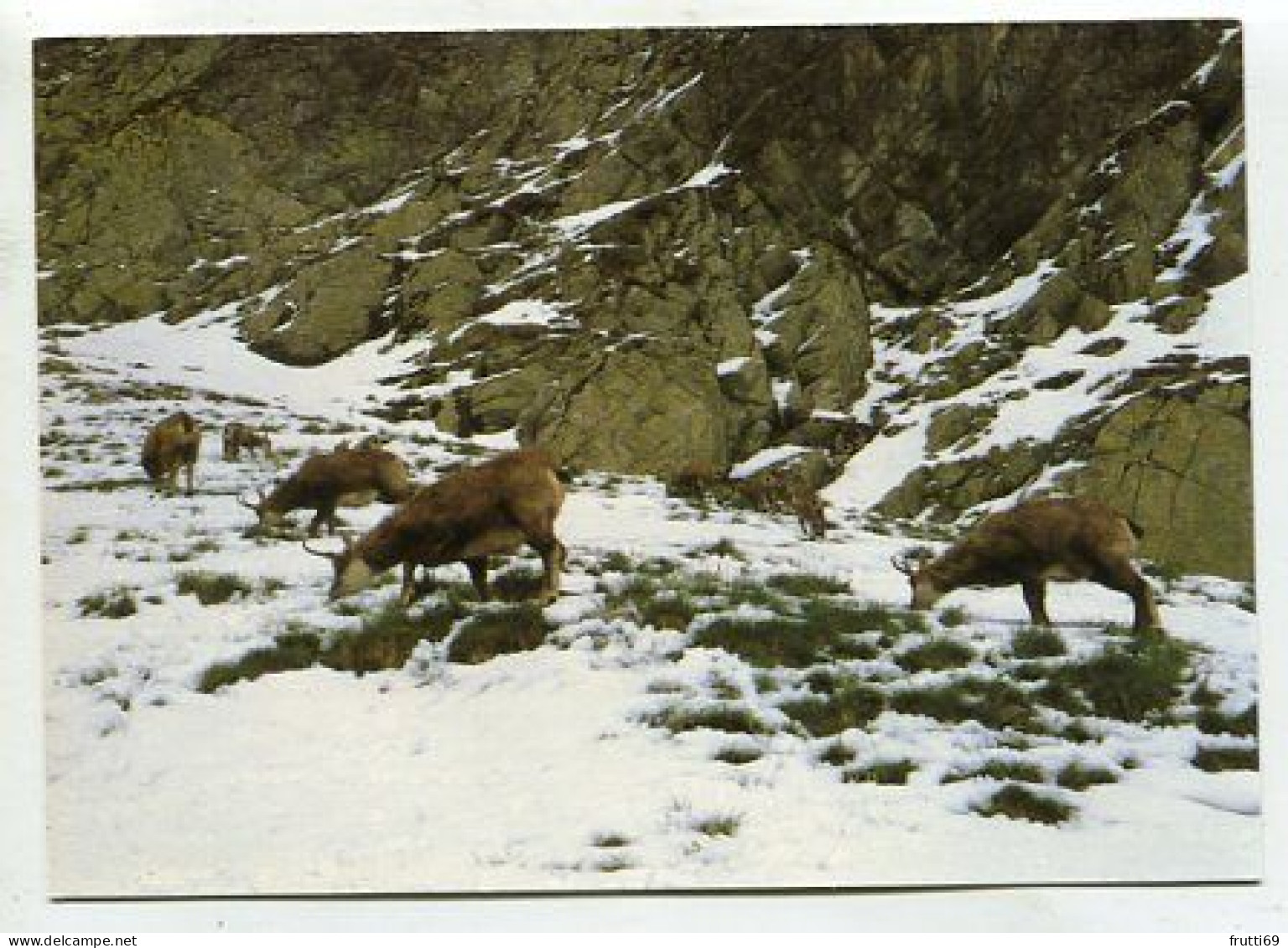 AK 213446 SLOVAKIA - Vysoké Tatry - Slowakei