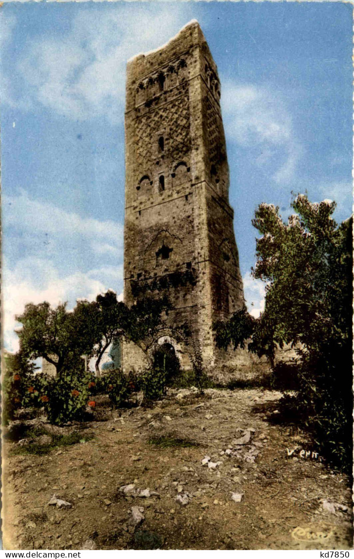 Tlemcen, La Tour De Mansourah, Vieilles Ruines - Tlemcen