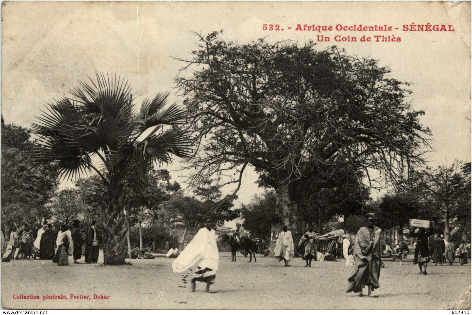 Senegal - Saint Louis - Senegal