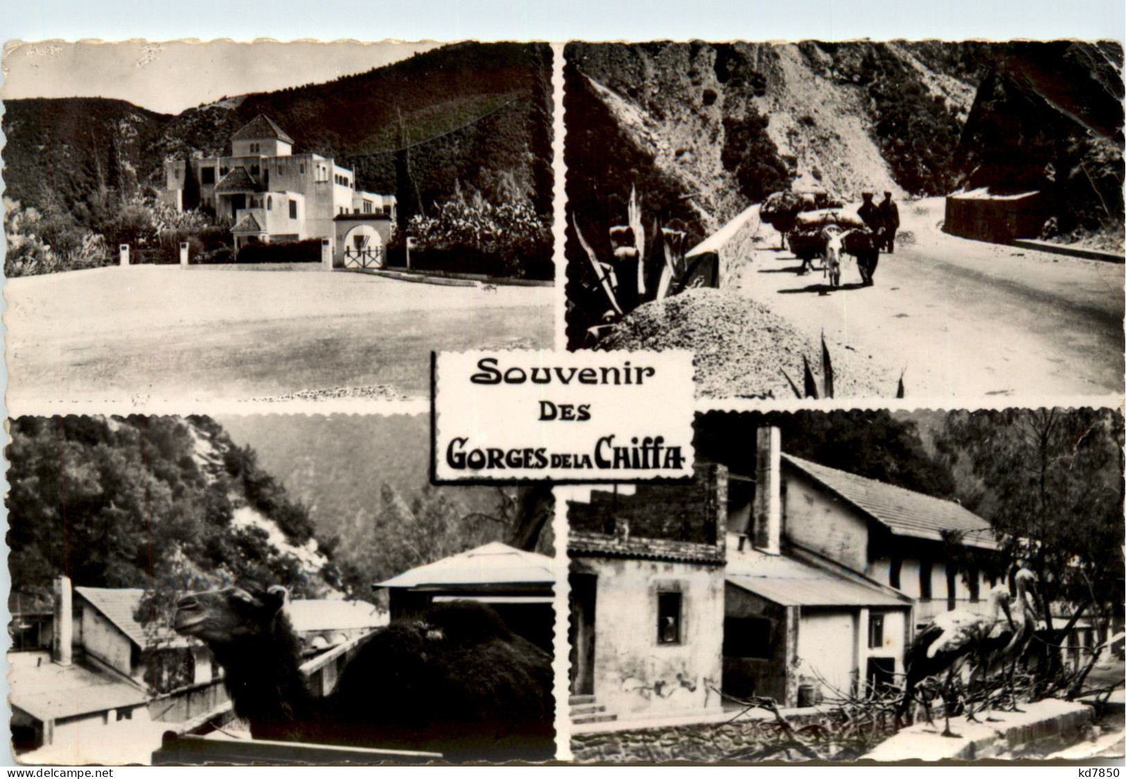 Gorges De La Chiffa - Other & Unclassified