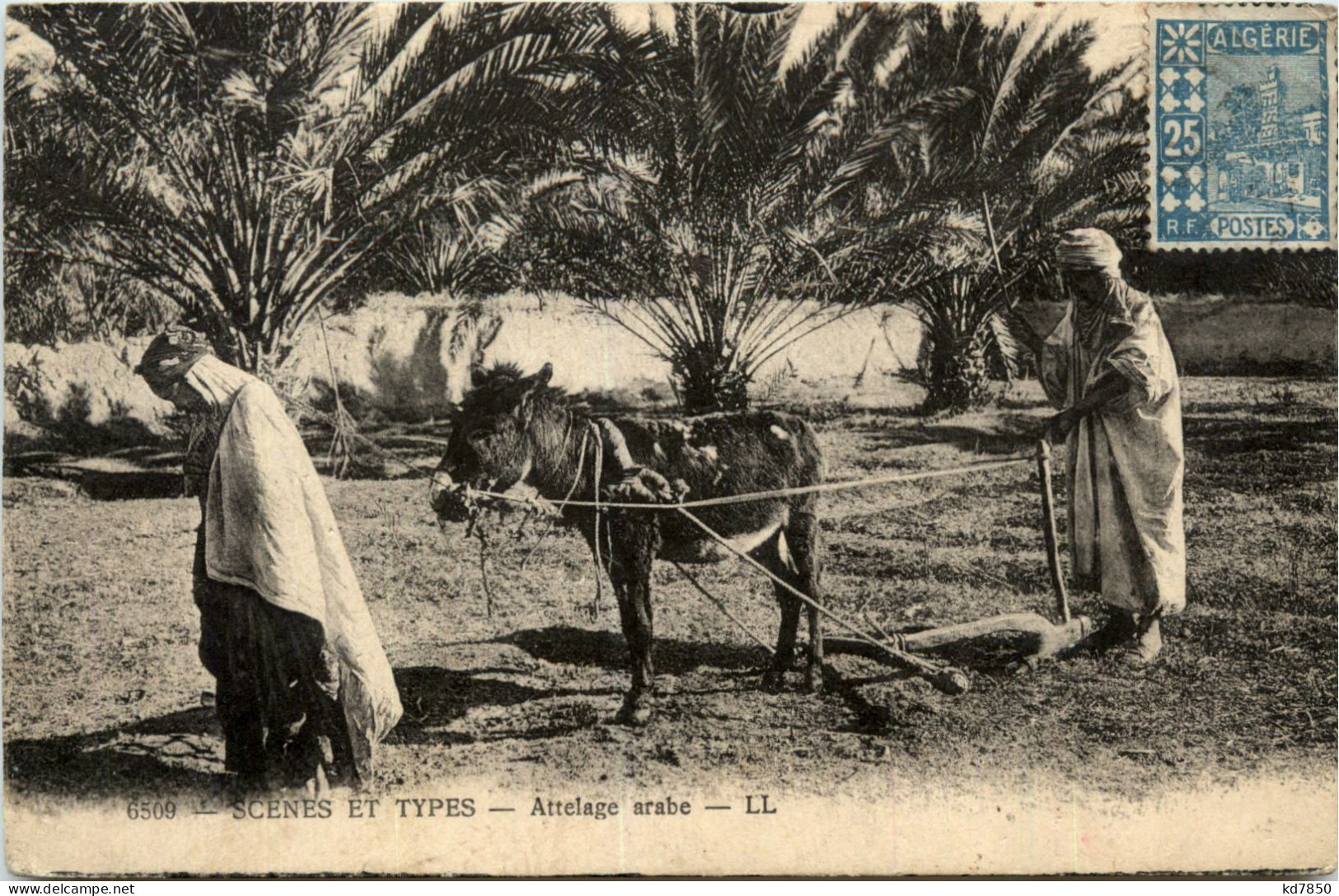 Algerie - Scenes Et Types - Scenes