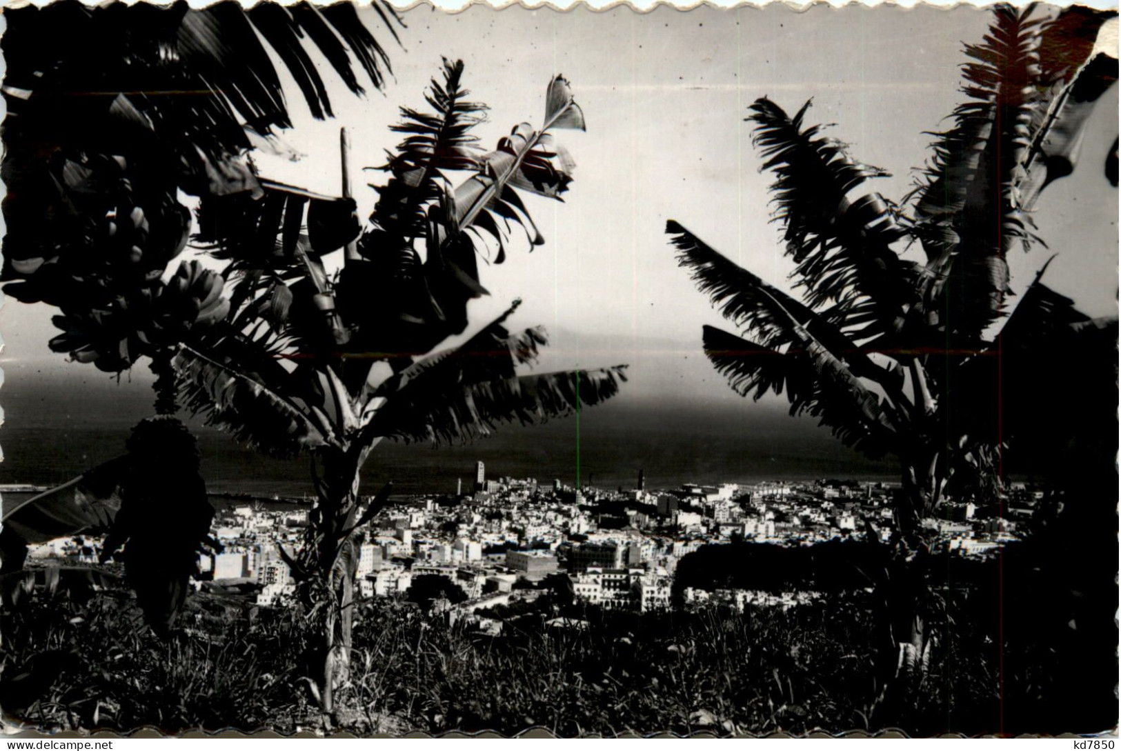 Santa Cruz De Tenerife - Tenerife