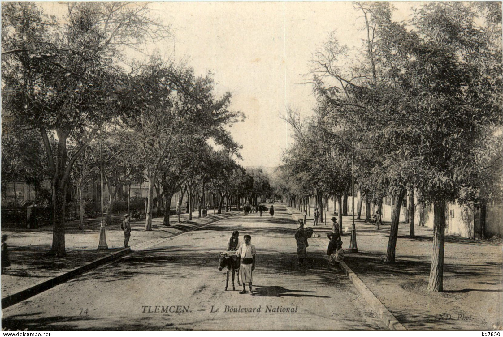 Tlemcen, Le Boulevard National - Tlemcen