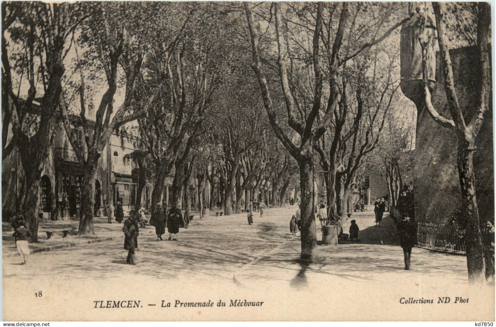 Tlemcen, La Promenade Du Mechouar - Tlemcen