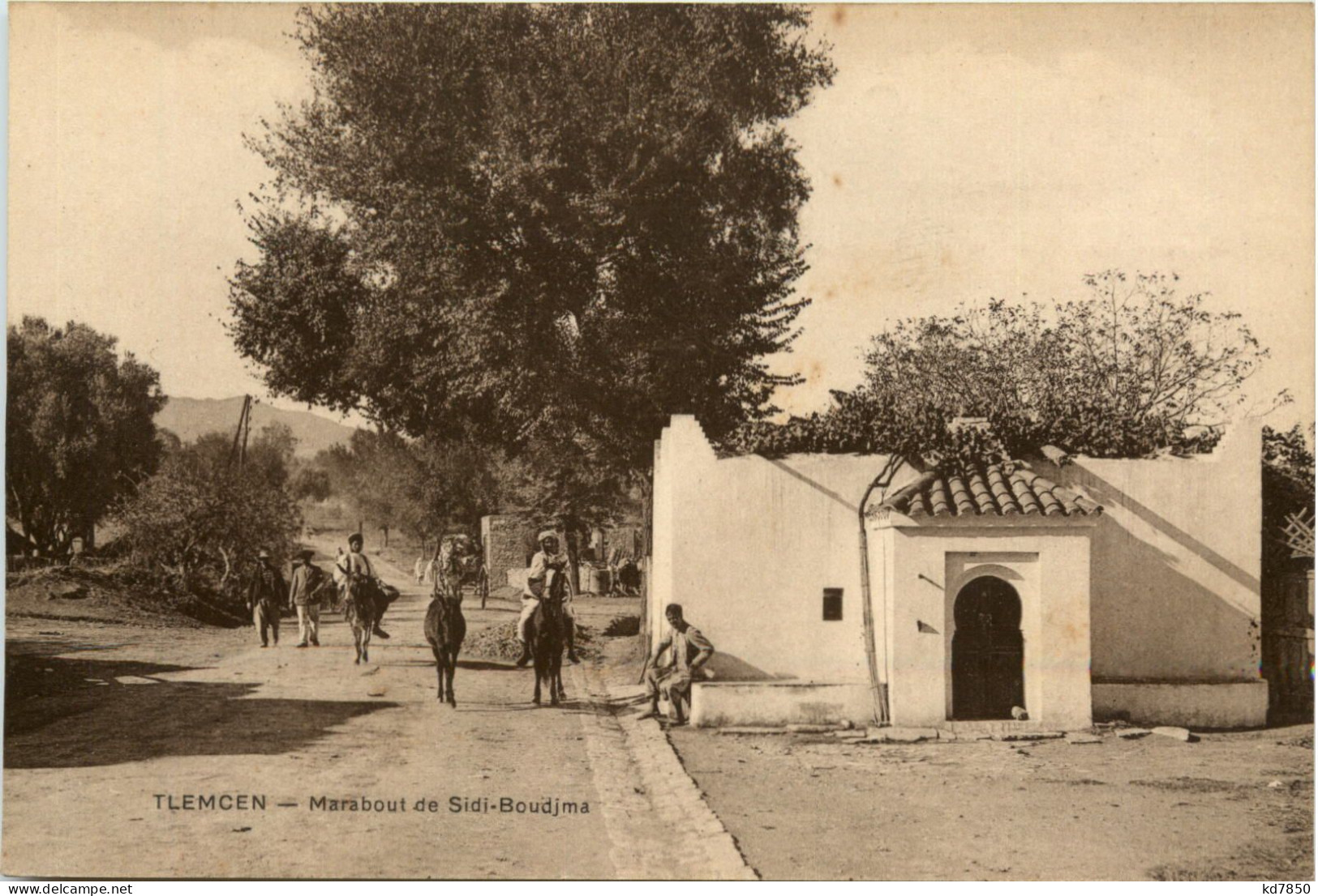 Tlemcen, Marabout De Sidi- Boudjma - Tlemcen