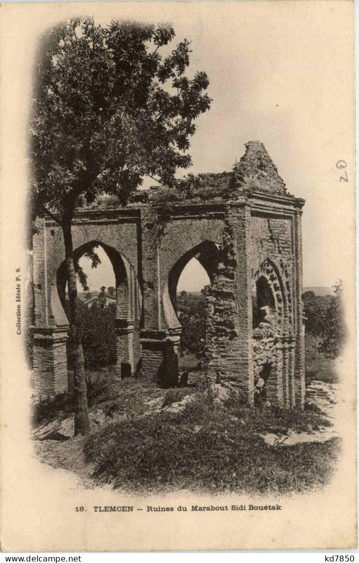 Tlemcen, Ruines Du Marabout Sidi Bouetak - Tlemcen