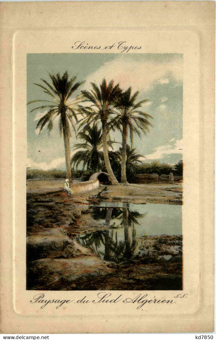 Algerien Sonstige, Scenes Et Types, Paysage Du Sud Algerien - Sonstige & Ohne Zuordnung