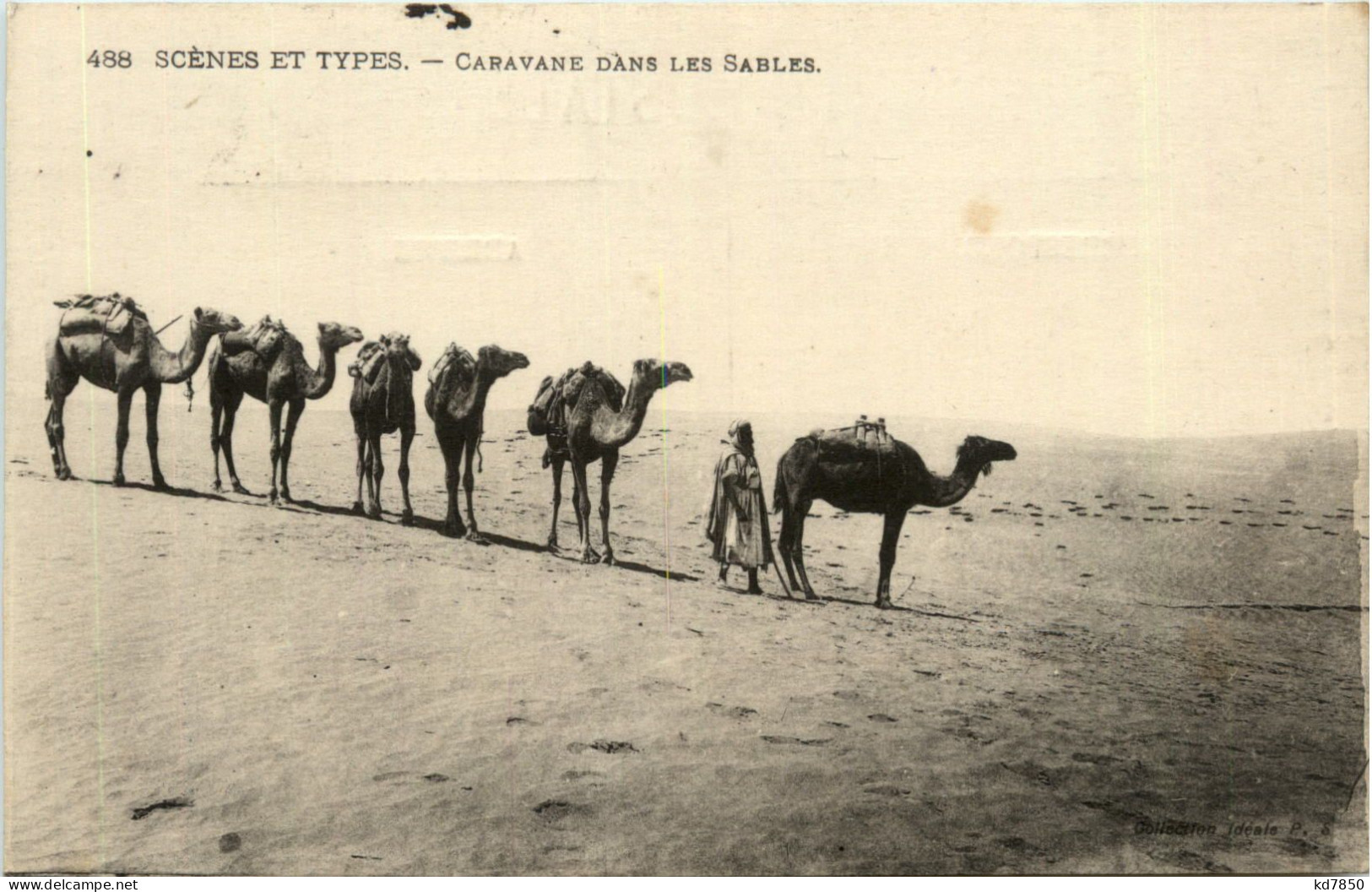 Algerien Sonstige, Scenes Et Types, Caravane Dans Les Sables - Sonstige & Ohne Zuordnung