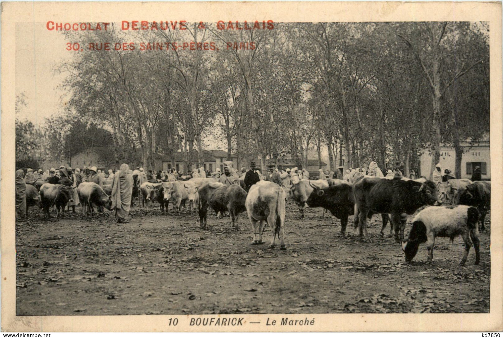 Boufarick, Le Marche - Altri & Non Classificati