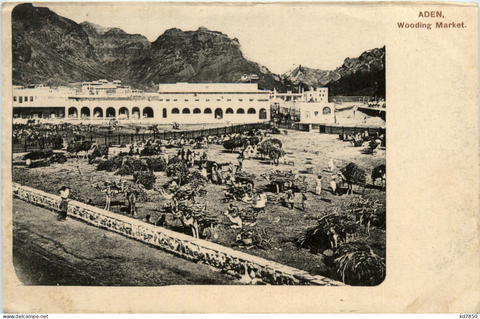 Aden - Wooding Market - Yemen