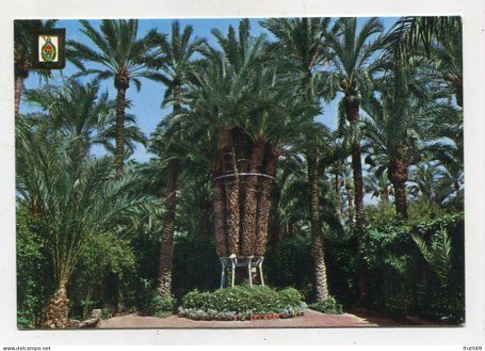 AK 213463 SPAIN - Elche - Palmera Imperial - Other & Unclassified