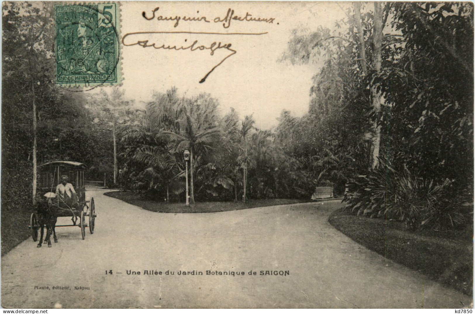 Saigon - Jardin Botanique - Viêt-Nam