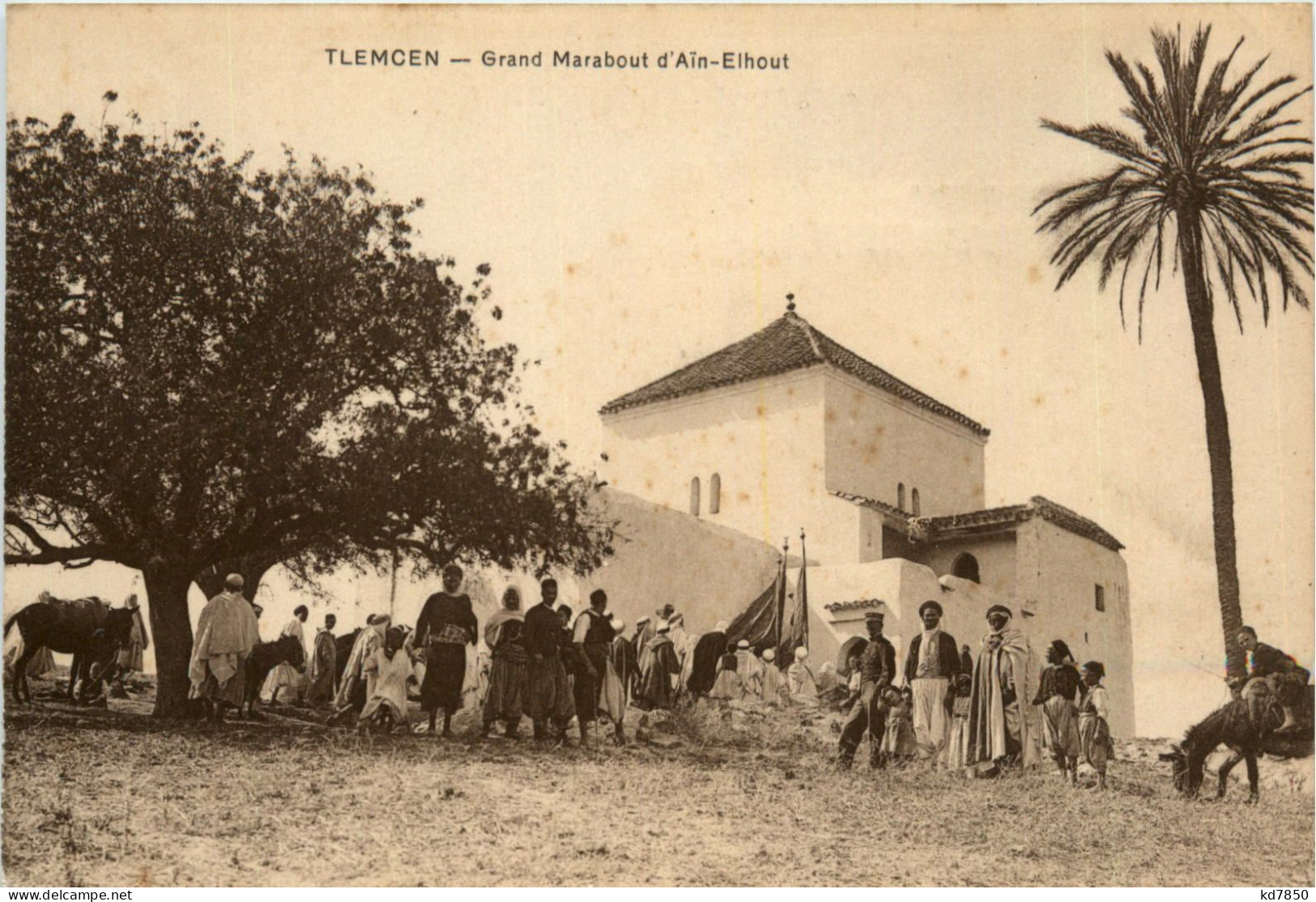 Tlemcen, Grand Marabout DÀin-Elhout - Tlemcen