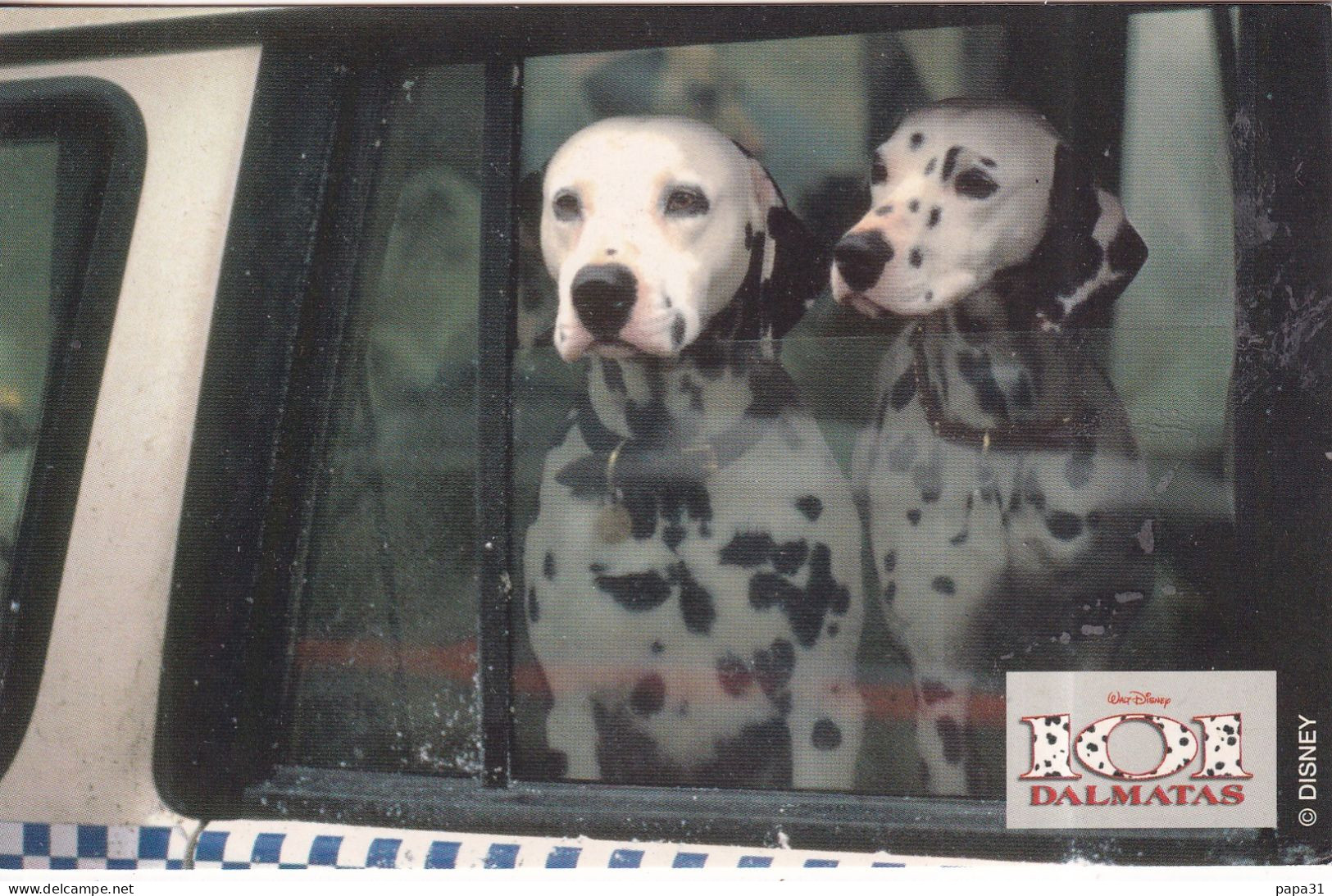 Chiens  Dalmatien - Dogs