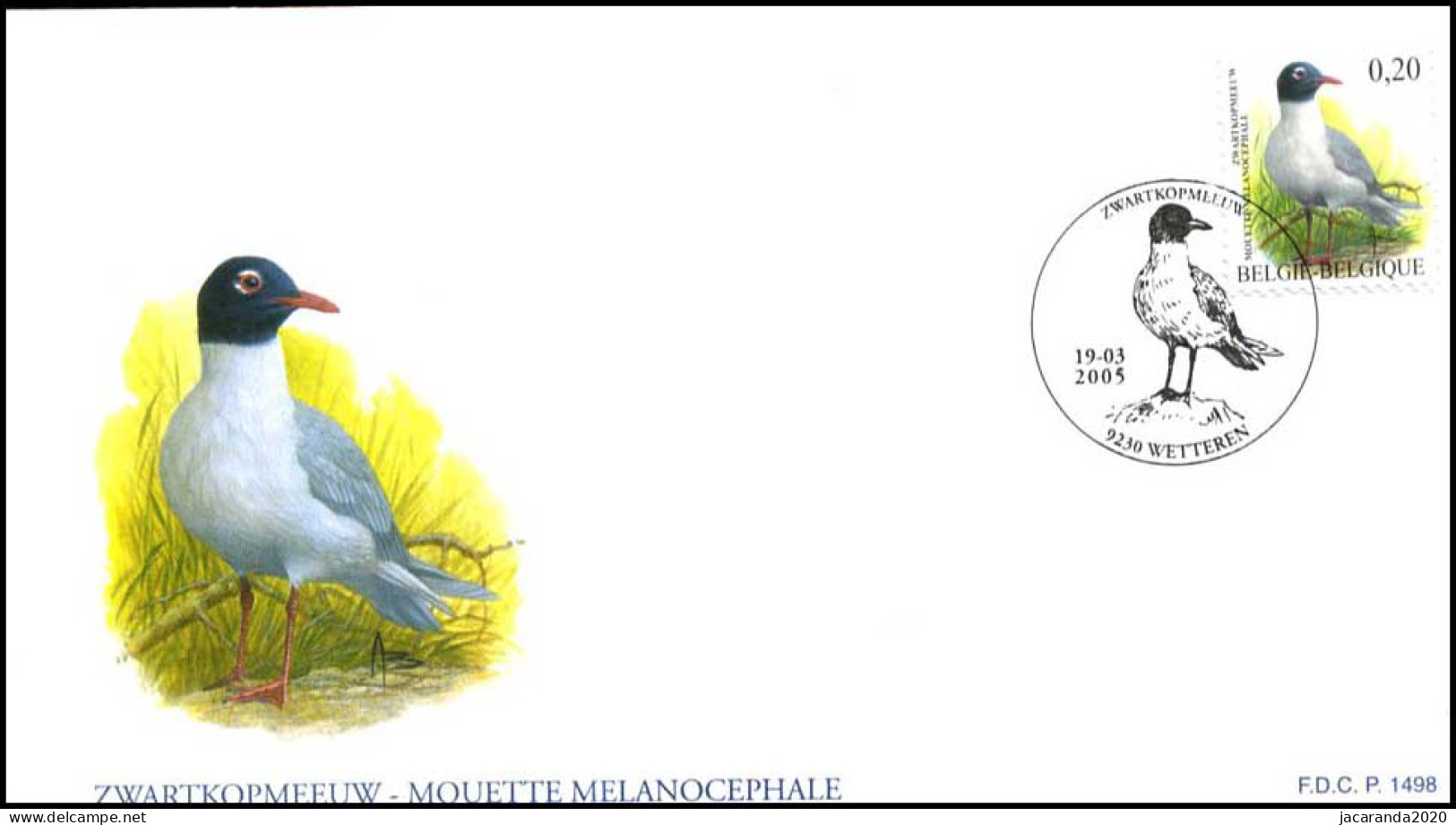 3380 - FDC - André Buzin : Zwartkopmeeuw P1498 - 2001-2010