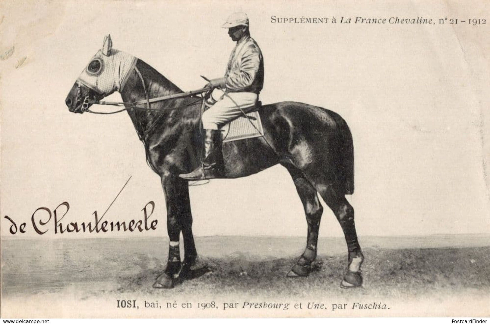 Iosi La France Chevaline Race 1908 Horse Signed Old PB Postcard - Reitsport