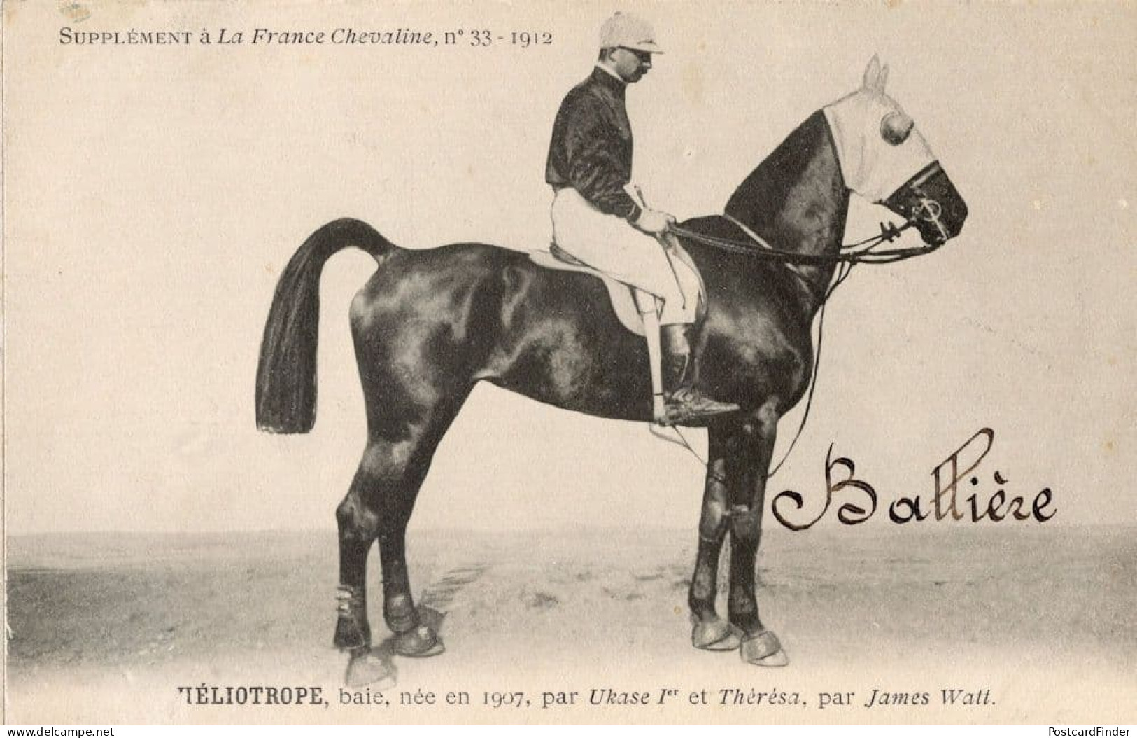 Ieliotrope La France Chevaline Race 1885 Horse Signed Old PB Postcard - Paardensport
