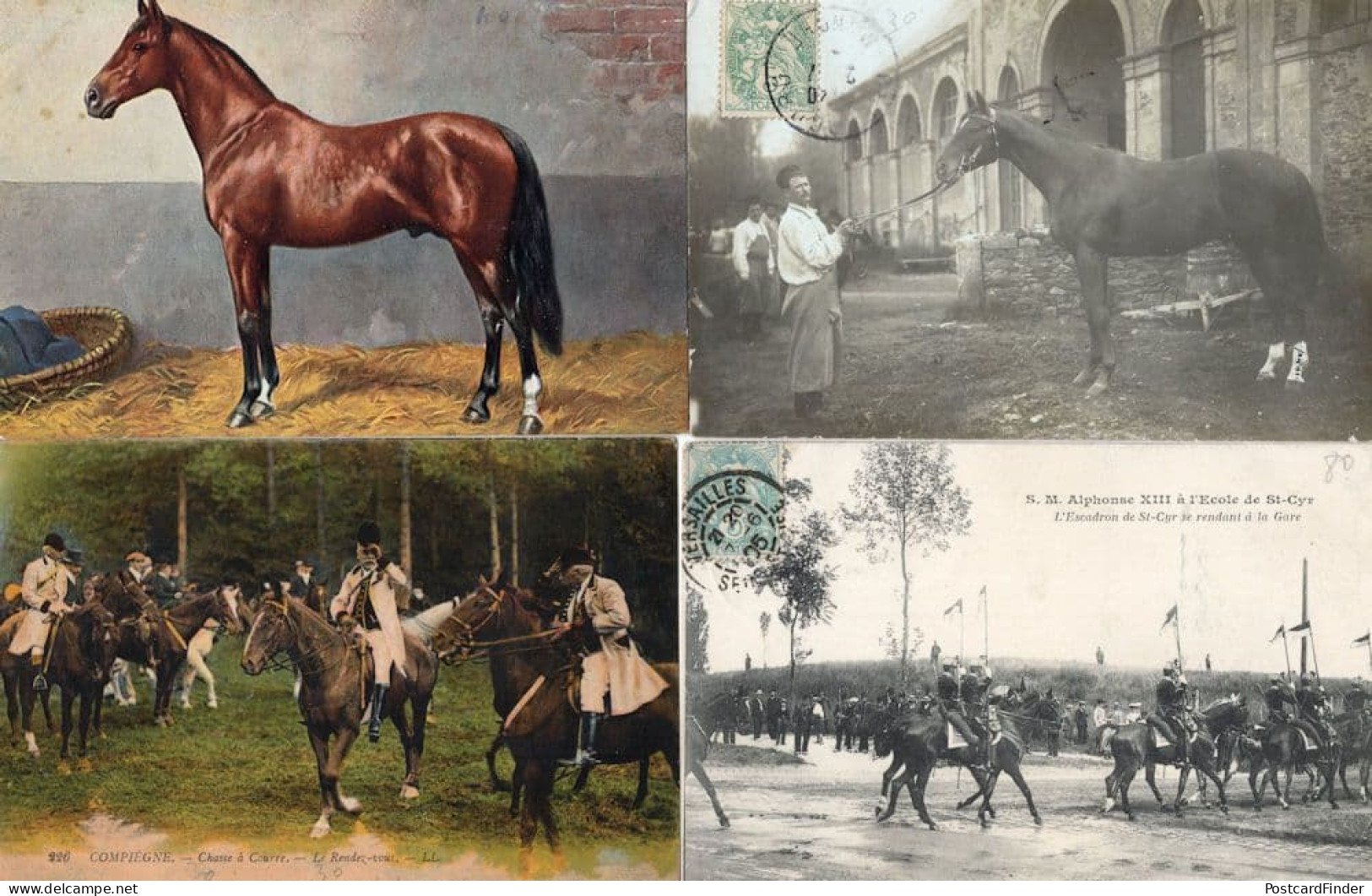 French Horse Racing Military 4x Antique Equestrian Postcard S - Horse Show