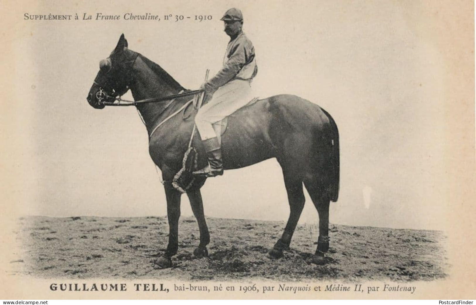 Guillaume Tell La France Chevaline 1906 Race Horse & Jockey PB Postcard - Horse Show