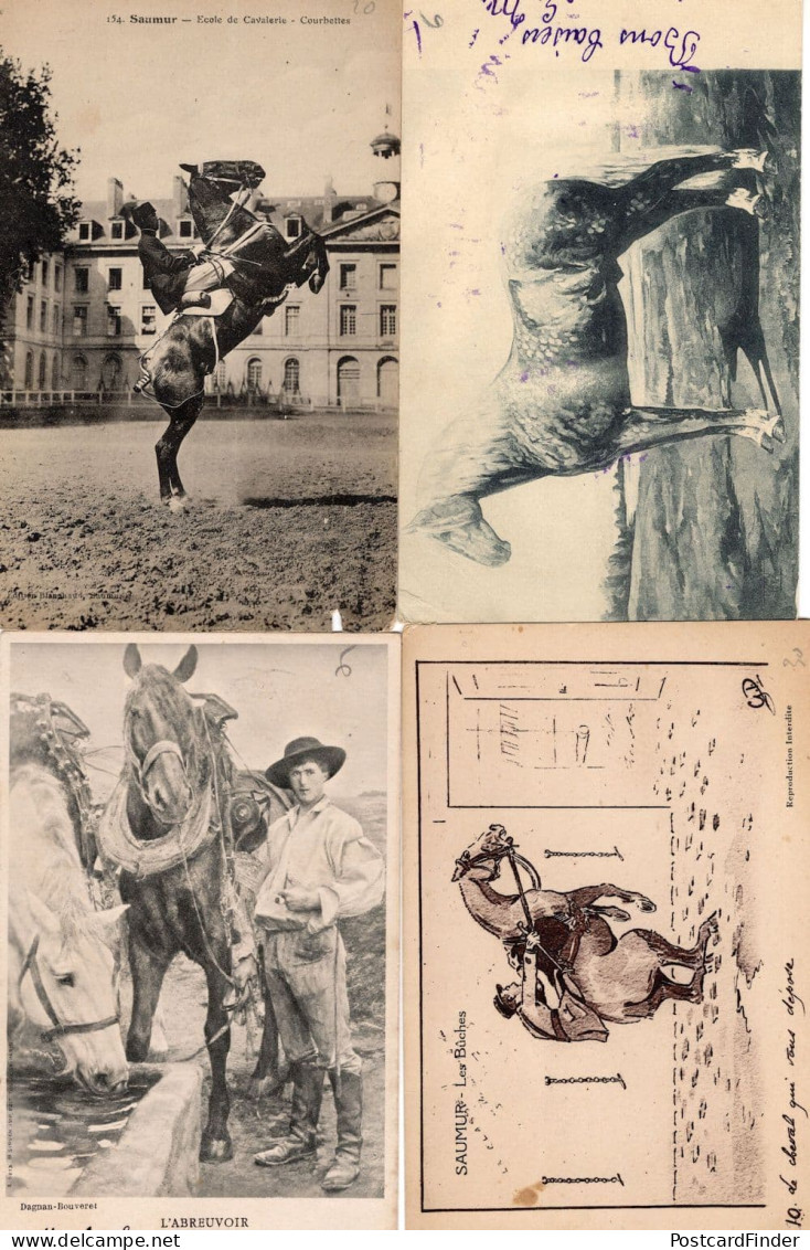 French Horse Racing 4x Antique Race Training Equestrian Postcard S - Horse Show