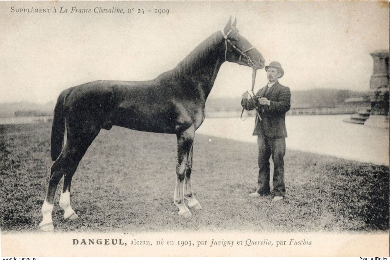 Dangeul La France Chevaline 1903 Race Horse & Trainer Old Postcard - Horse Show