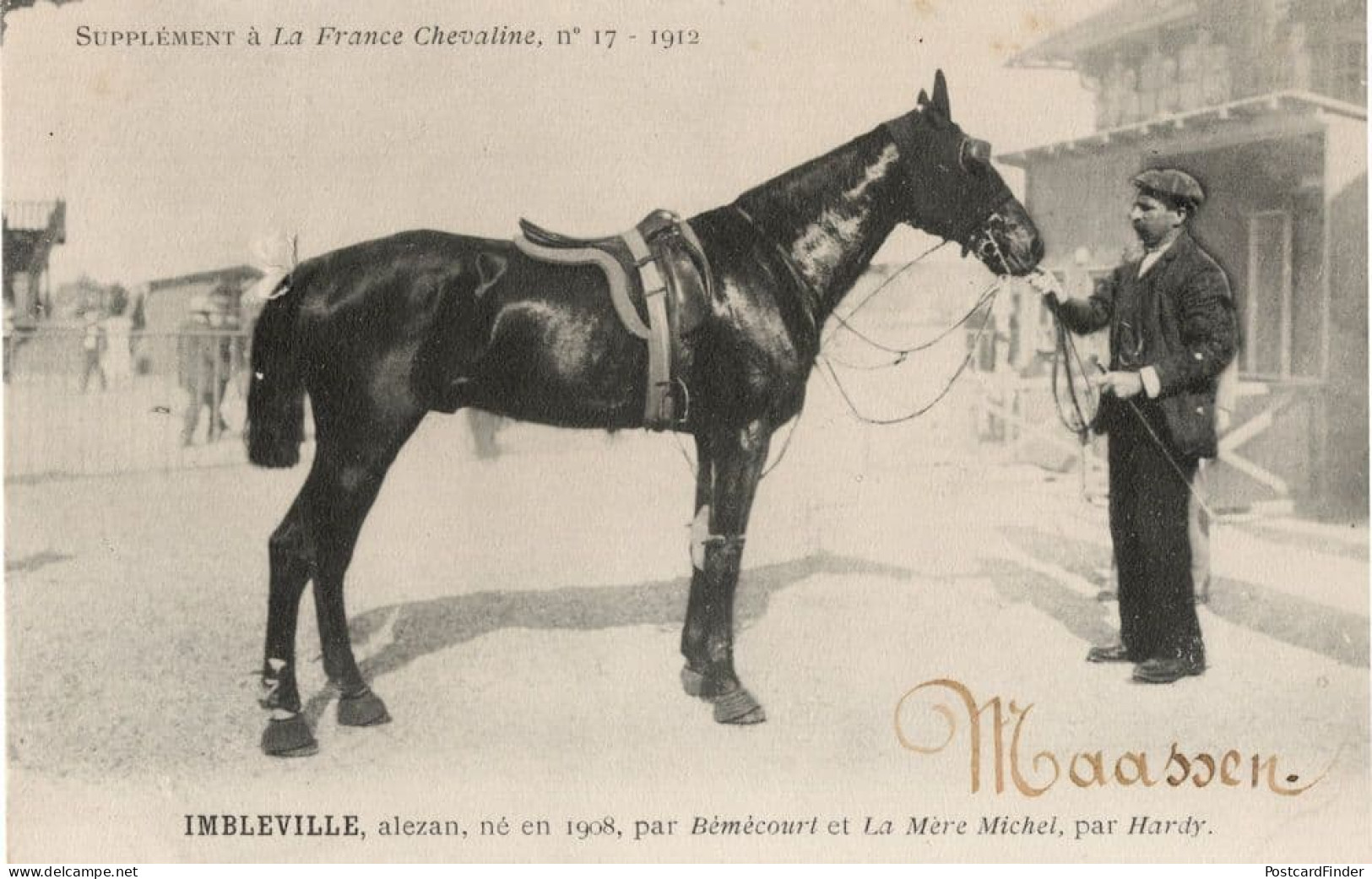 Imbleville La France Chevaline Race Horse Antique 1912 PB Postcard - Ippica
