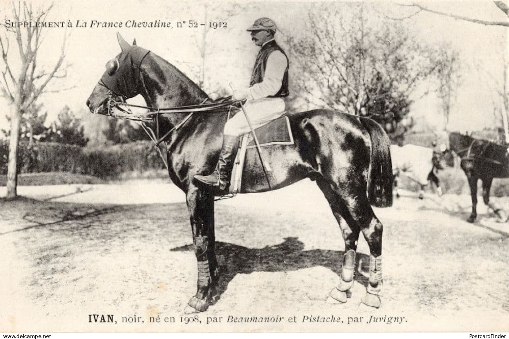 Ivan La France Chevaline Race Horse Antique 1908 PB Postcard - Horse Show