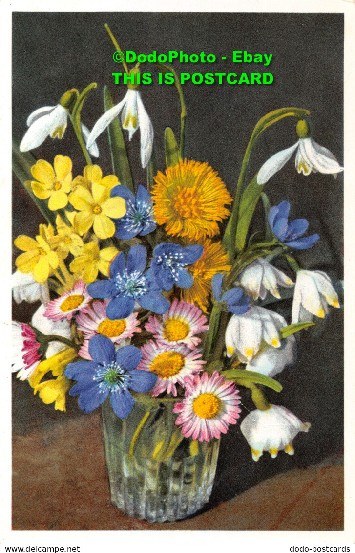 R396179 Spring Flowers. E. Gyger. Postcard - Monde