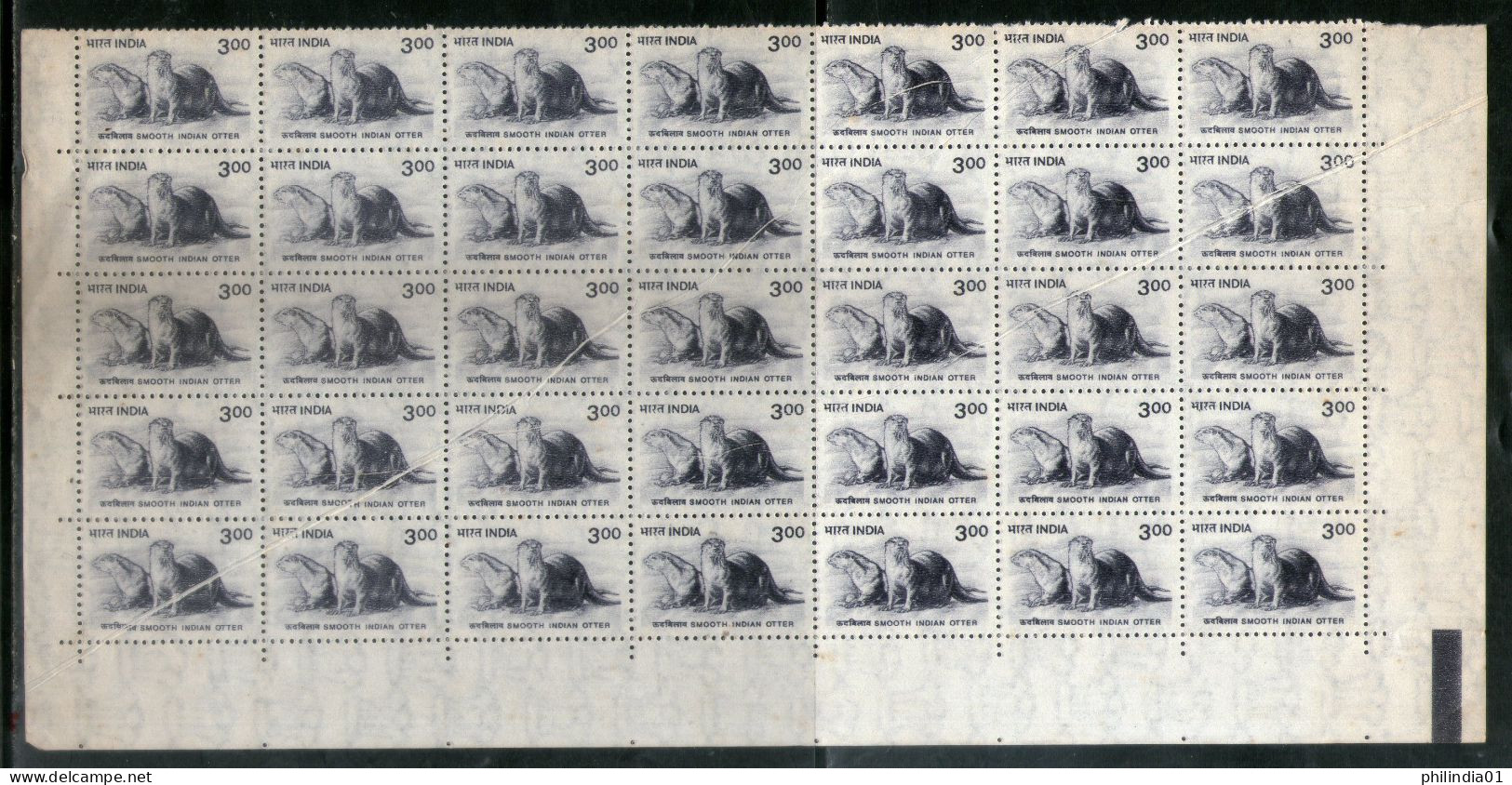 India 2002 300p Smooth Indian Otter Wildlife ERROR Creased Block Of 35 MNH # 15176 - Varietà & Curiosità