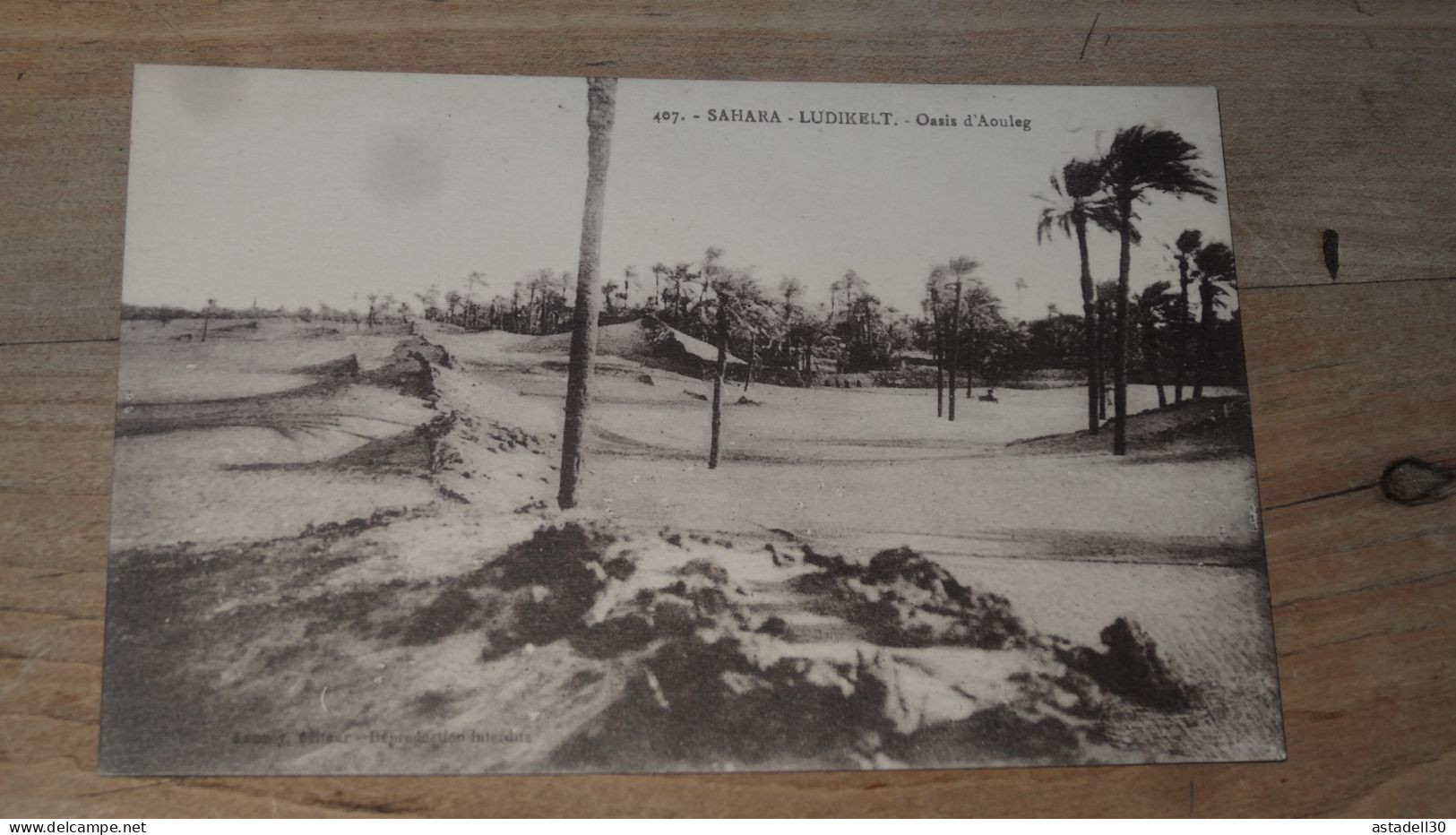 ALGERIE, LUDIKELT, Oasis D'Aouleg ................ BE-18099 - Autres & Non Classés