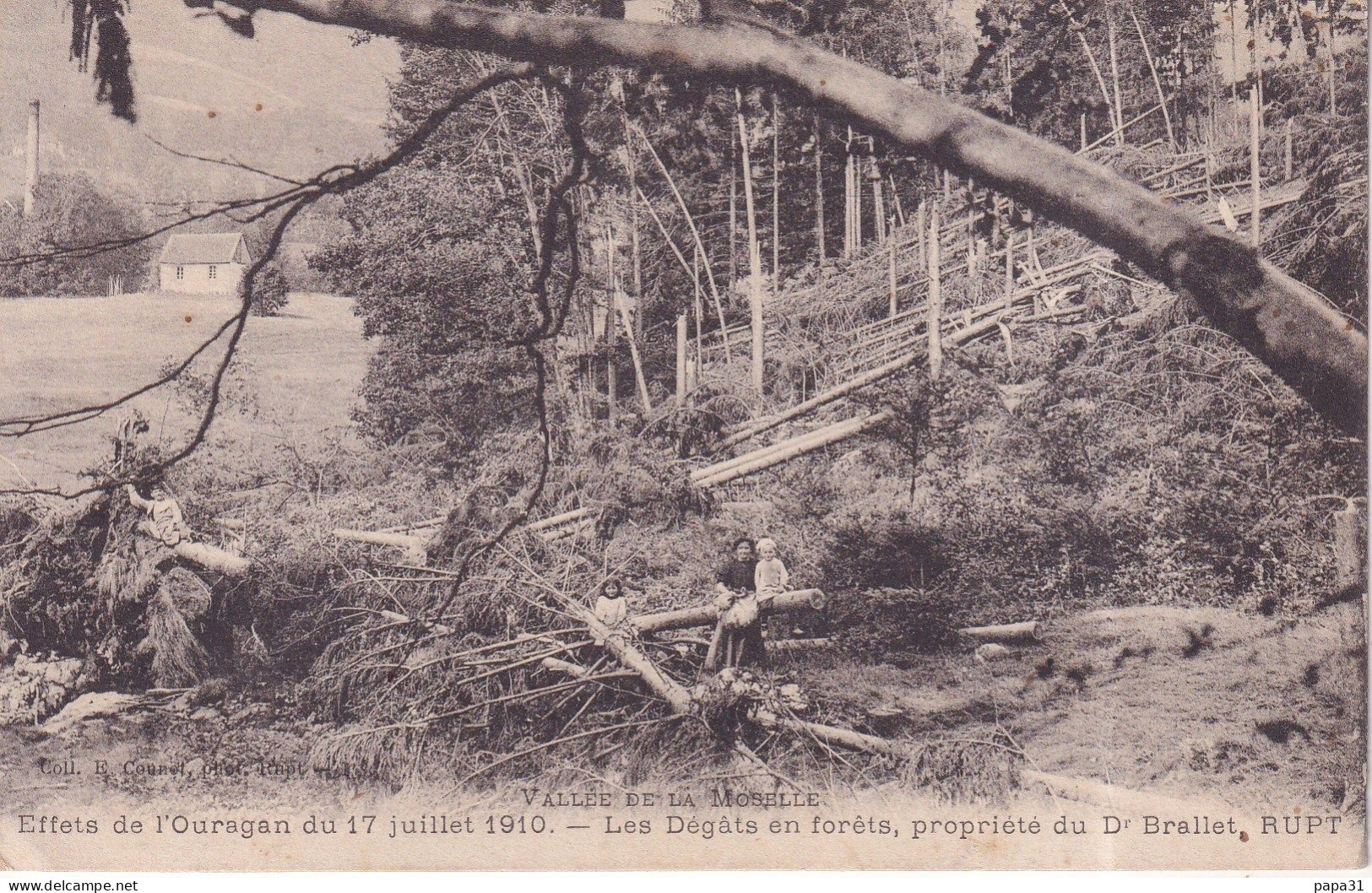 RUPT -  Dégats En Forêts,propriété Du  Dr Brallets - Otros & Sin Clasificación