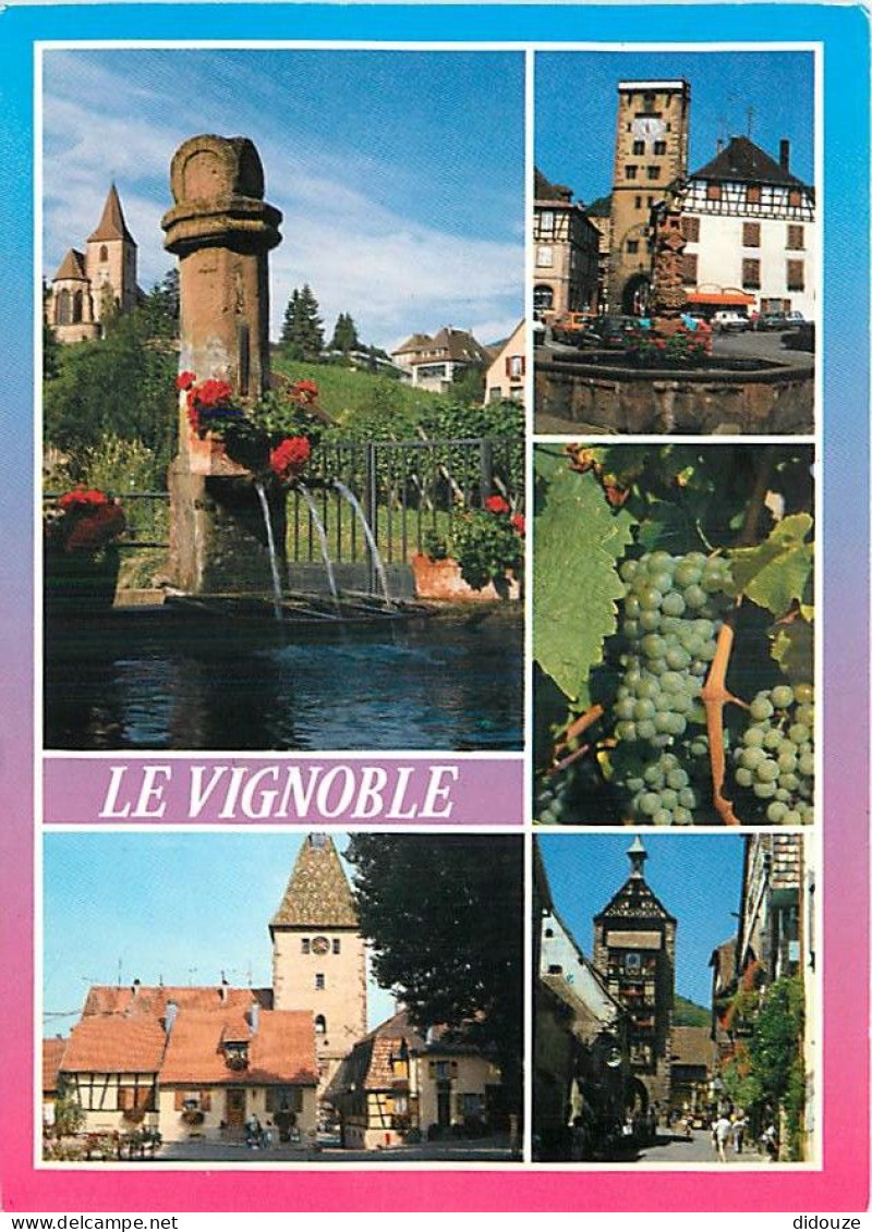 Vignes - Le Vignble - Multivues - CPM - Voir Scans Recto-Verso - Weinberge