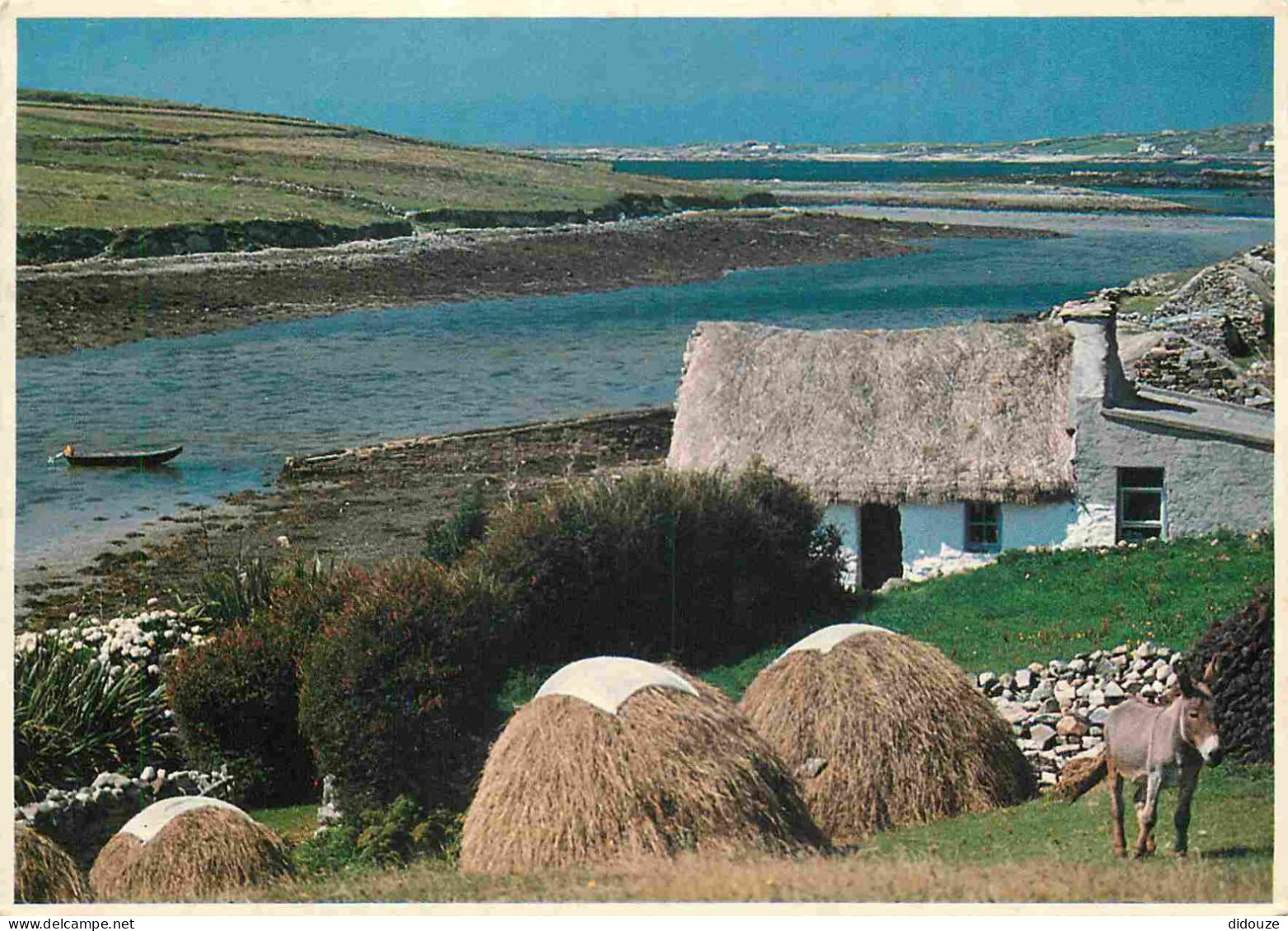 Irlande - Galway - Connemara - Thatched Cottage - Anes - CPM - Carte Neuve - Voir Scans Recto-Verso - Galway