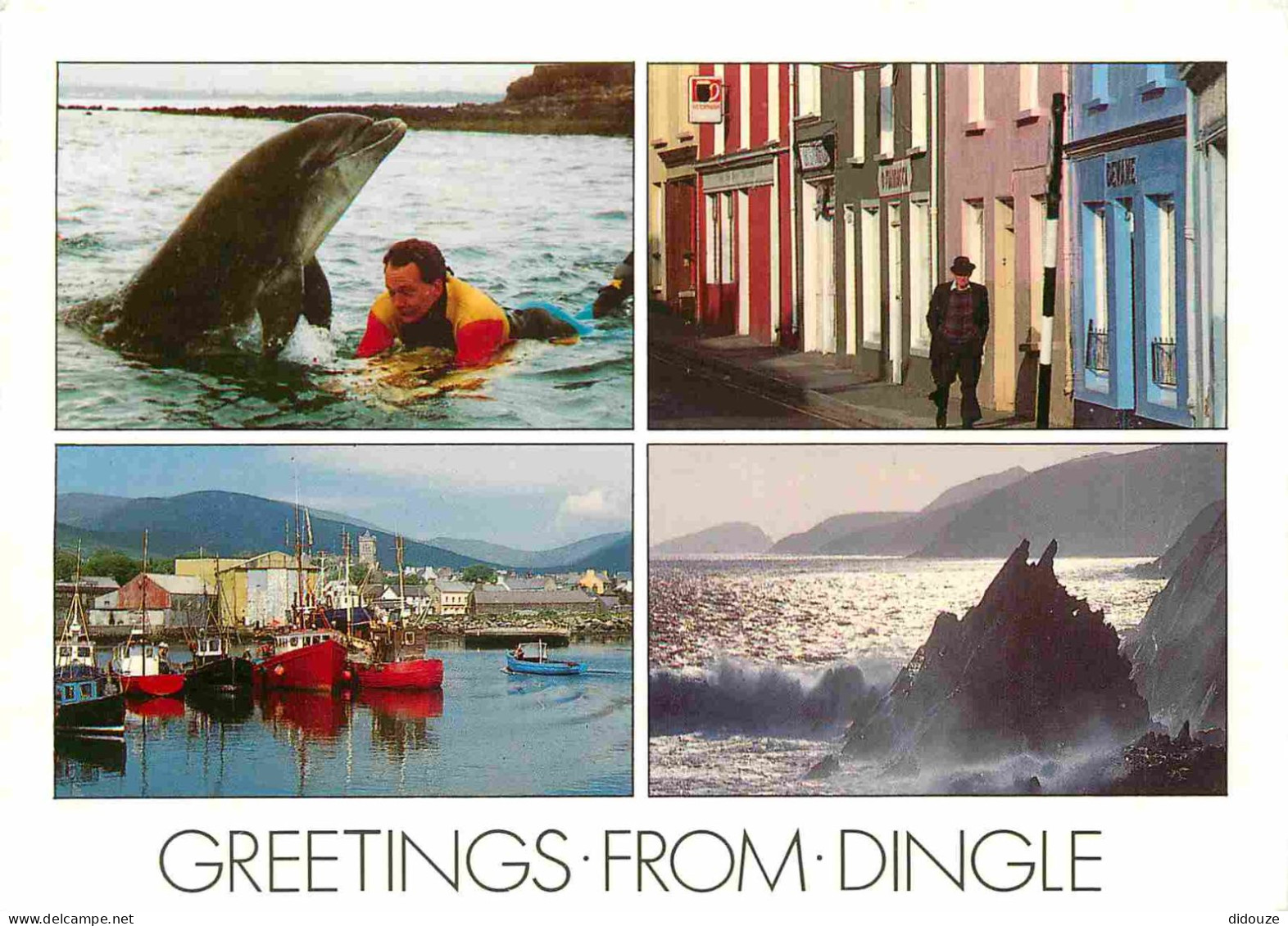 Irlande - Kerry - Dingle Peninsula - Dingle Is The Chief Town Of The Peninsula - Multivues - Dauphins - Bateaux - Maison - Kerry