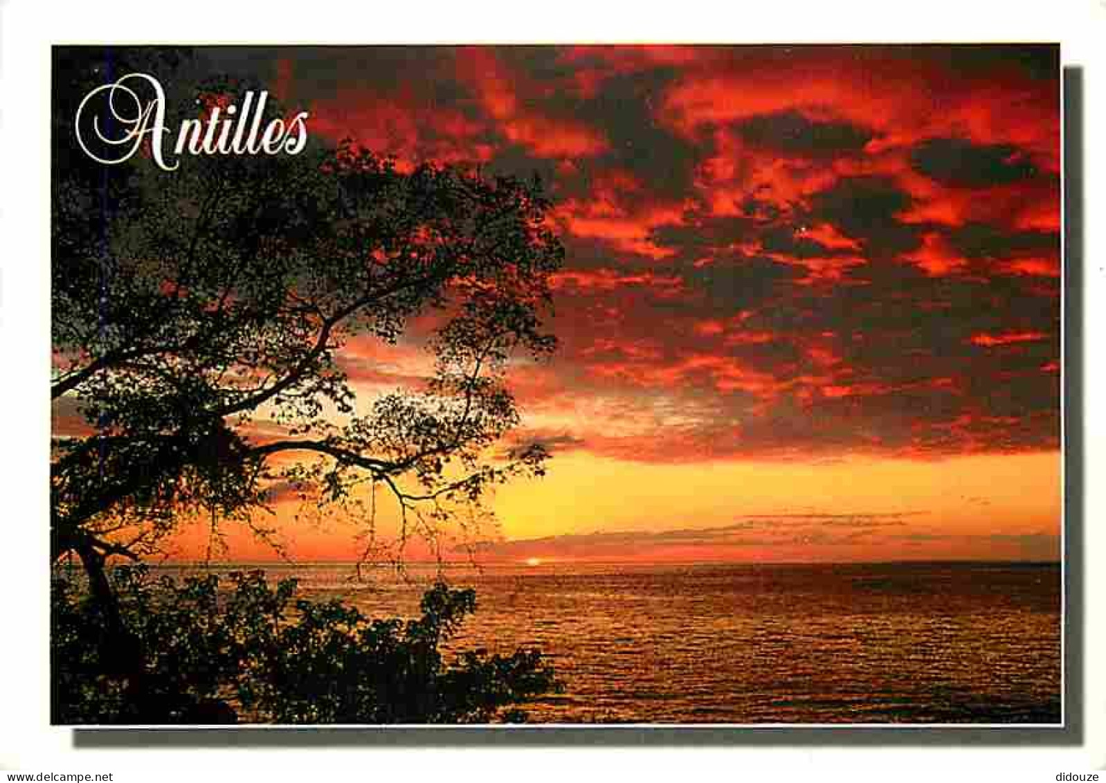 Antilles - Antilles Francaise - Coucher De Soleil - Carte Neuve - CPM - Voir Scans Recto-Verso - Andere & Zonder Classificatie