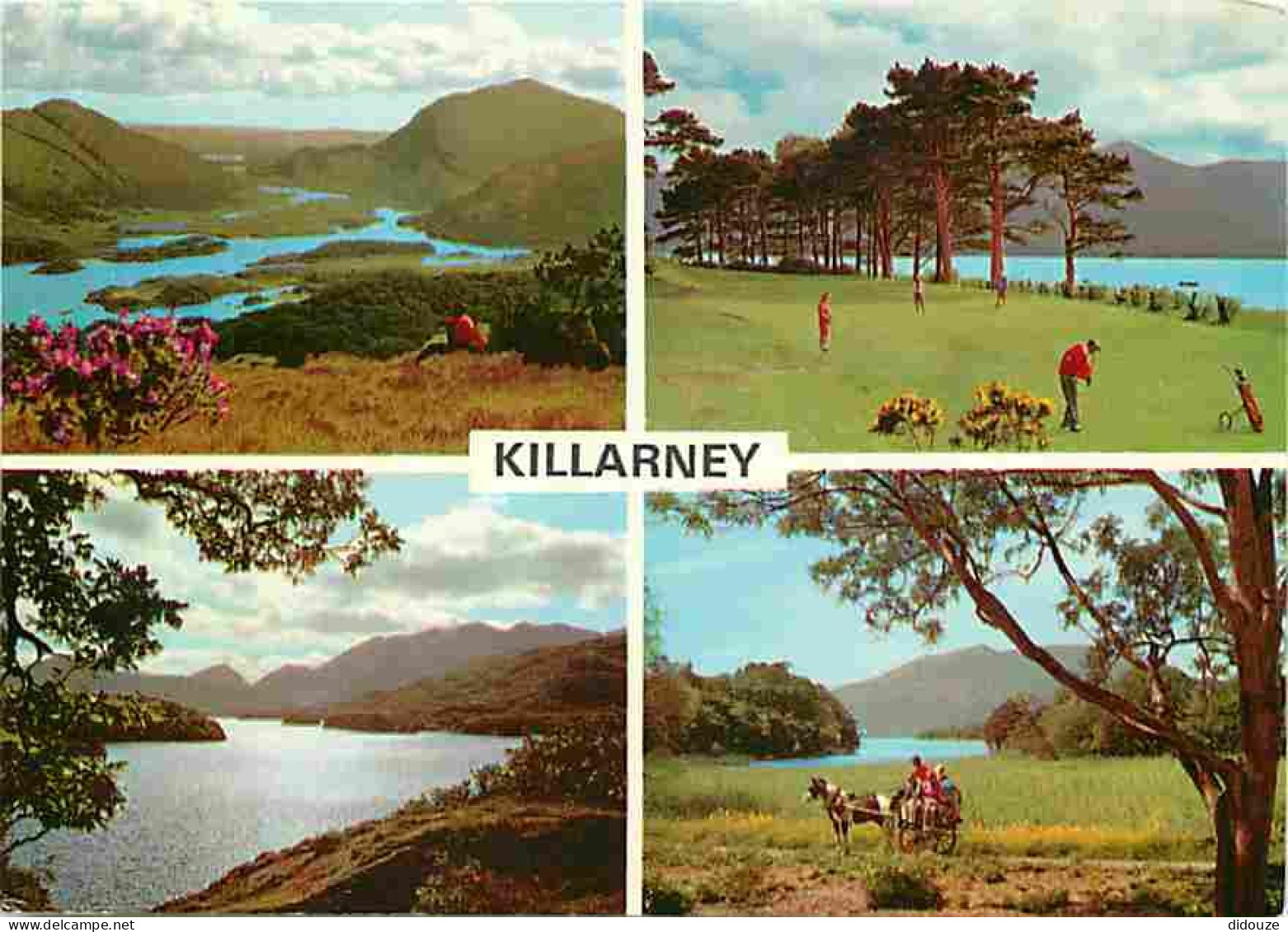 Irlande - Killarney - Multivues - Golf - Multivues - CPM - Voir Scans Recto-Verso - Kerry