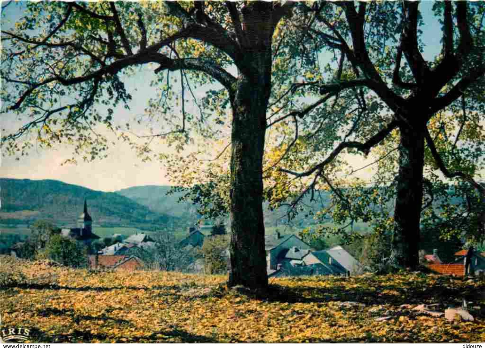 01 - Hauteville Lompnès - Vue Générale - Carte Dentelée - CPSM Grand Format - Voir Scans Recto-Verso - Hauteville-Lompnes