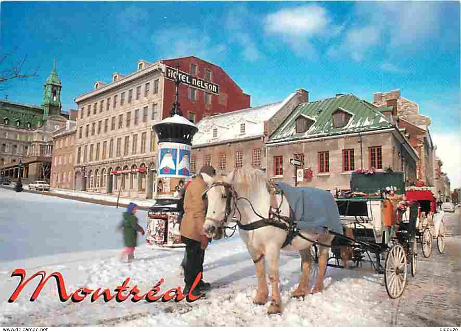 Animaux - Chevaux - Canada - Montréal - À La Place Lacques-Cartier, Même En Hiver, Les Calèches, De Couleurs Vives, Sont - Pferde