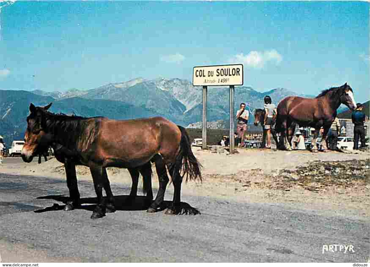 Animaux - Chevaux - Collection D'Art Pyrénéen - Les Pyrénées - Route Du Col D'Aubisque - Le Col Du Soulor - Flamme Posta - Pferde