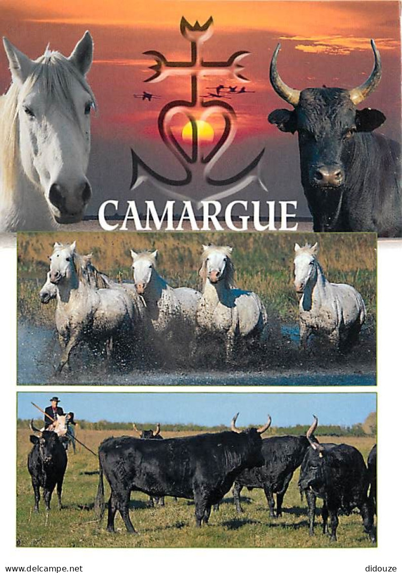 Animaux - Chevaux - Camargue - Multivues - Taureaux - Gardians - Carte Neuve - CPM - Voir Scans Recto-Verso - Horses