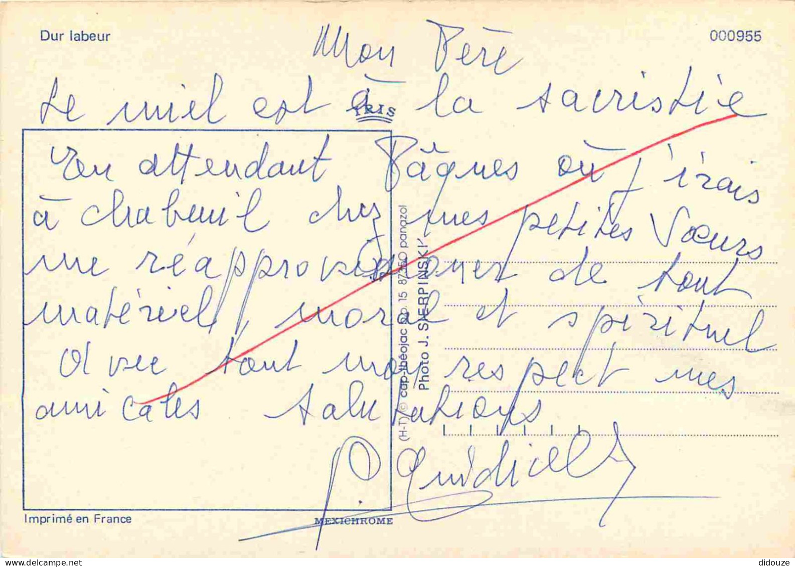 Animaux - Vaches - Labeur - Attelage De Bœufs - Paysans - CPM - Voir Scans Recto-Verso - Mucche