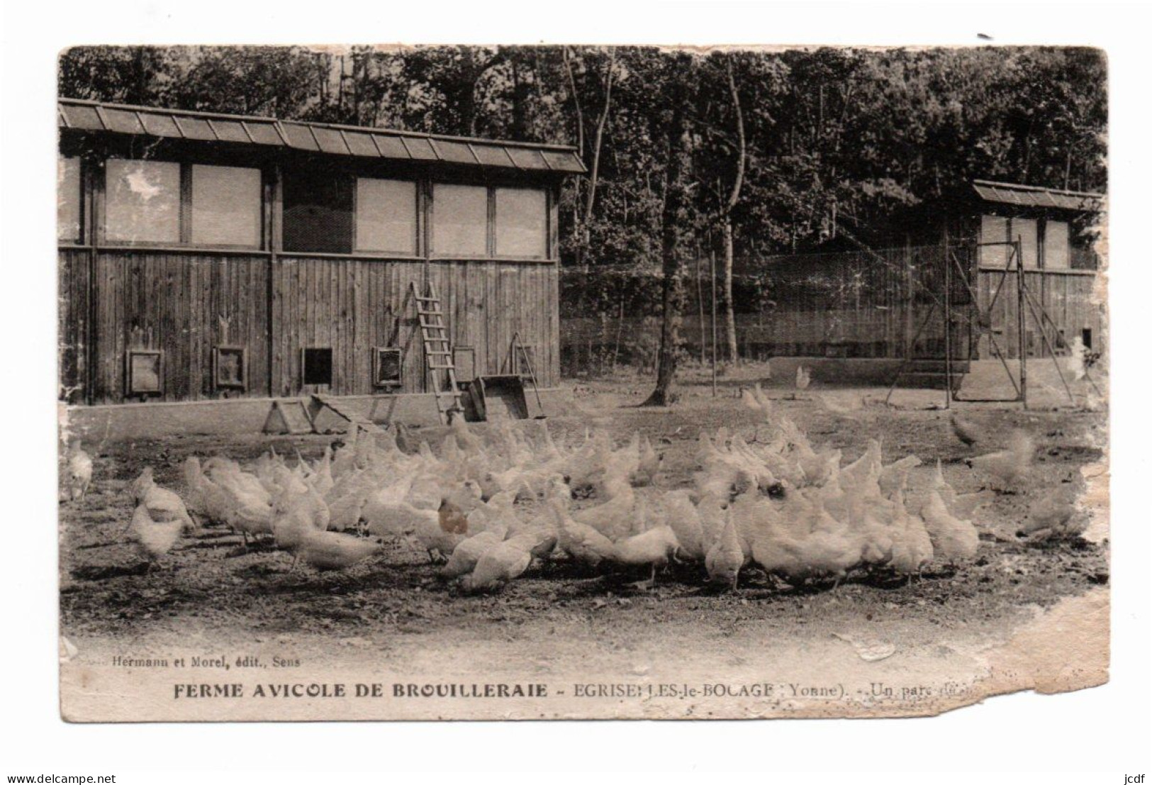 89 EGRISELLES LE BOCAGE - Ferme Avicole De Brouilleraie - Un Parc - Edit Hermann Et Morel 1956 - Vendue En L'état - Egriselles Le Bocage