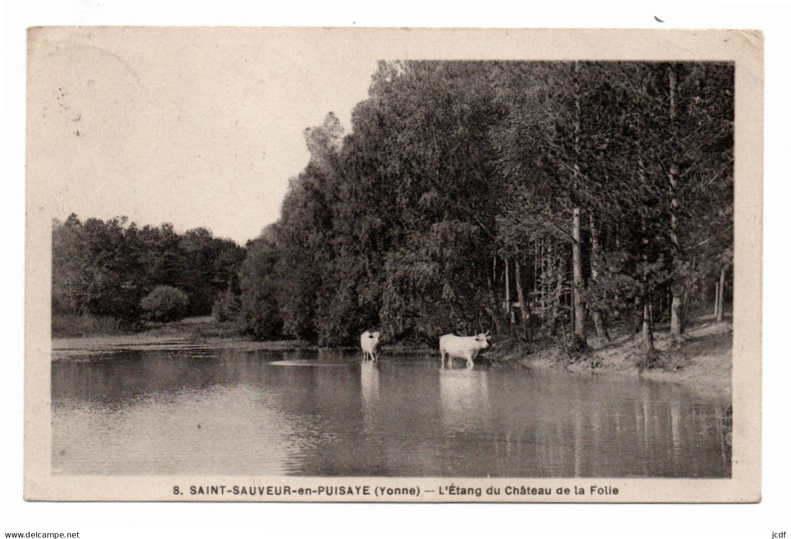 89 ST SAINT SAUVEUR EN PUISAYE - L'Etang Du Château De La Folie N° 8 - Edit Bergery 1949 - Vaches Dans L'étang - Saint Sauveur En Puisaye